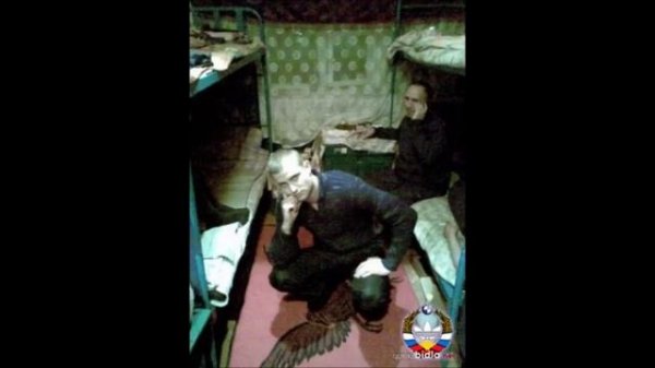 СИЗО. Как вести себя в следственном изоляторе.