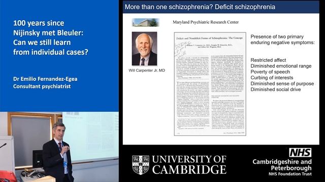 Schizophrenia: What can we learn from Nijinsky's case? смотреть онлайн
