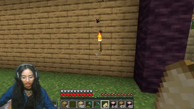 Minecraft MUA SMP PE/Bedrock+Java | Girl Gamer | FaceCam Live смотреть онлайн