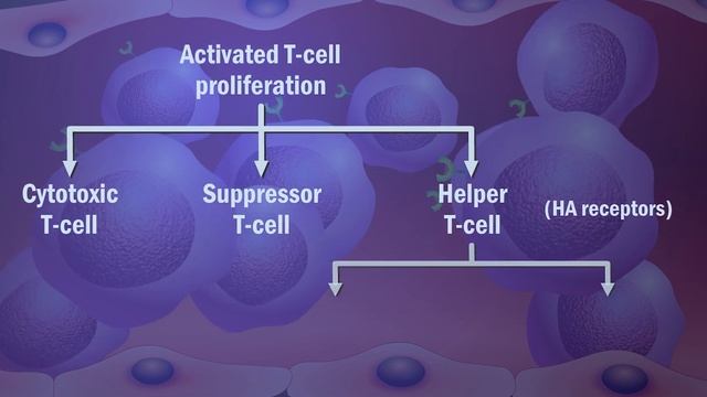 Vaccines and the Immune Response: How Vaccines Work смотреть онлайн