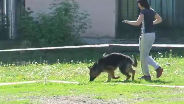 Уфа 01 06 13 Хаус Фанни Орхидея смотреть онлайн