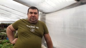 Как утеплить зимнею теплицу.