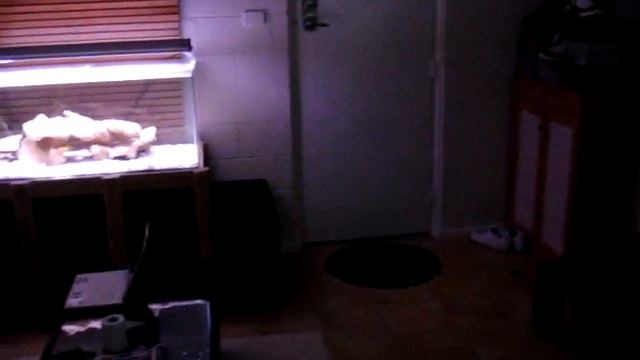 My Place 2009 -New digital piano Casio Px720 смотреть онлайн