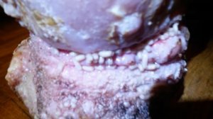 Опарыши в ране