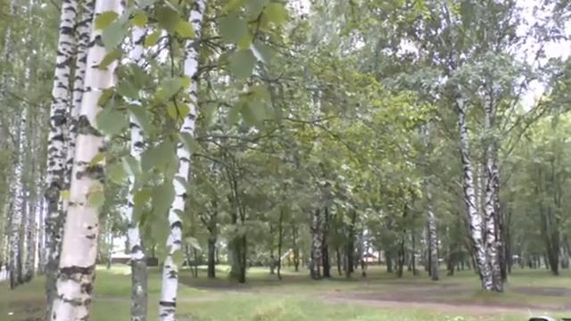 Всю душу выплеснул в слова.mp4 смотреть онлайн