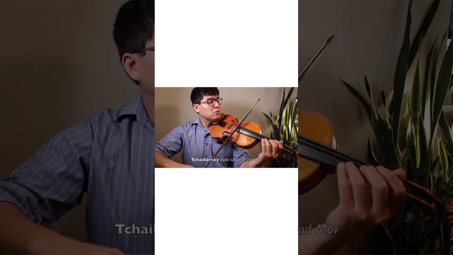 Portato Violin Bow Strokes #bowing #learnviolin #violin #violinstudent #violinist