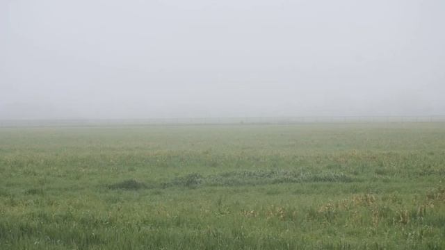 Уровень 10 - Пшеничное поле. Закулисье смотреть онлайн
