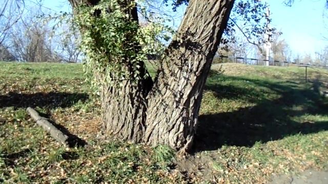 Есть улицы... смотреть онлайн