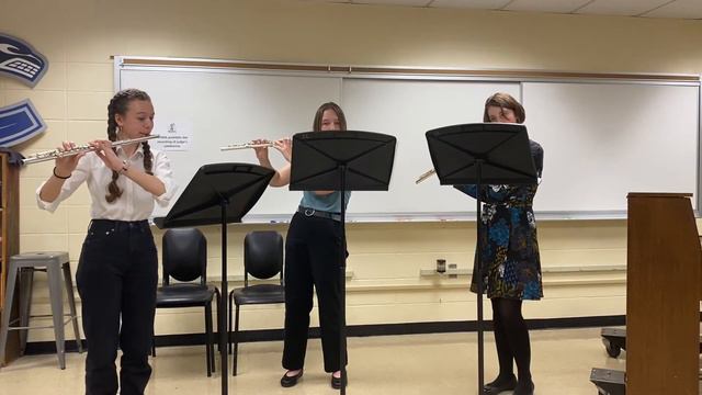 Trio in G Major by Carl Stamitz смотреть онлайн