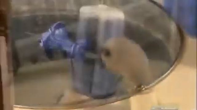 Из воска можно делать не только свечи! смотреть онлайн