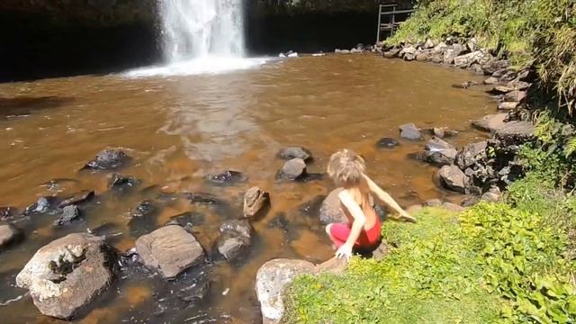 Aberdare National Park смотреть онлайн