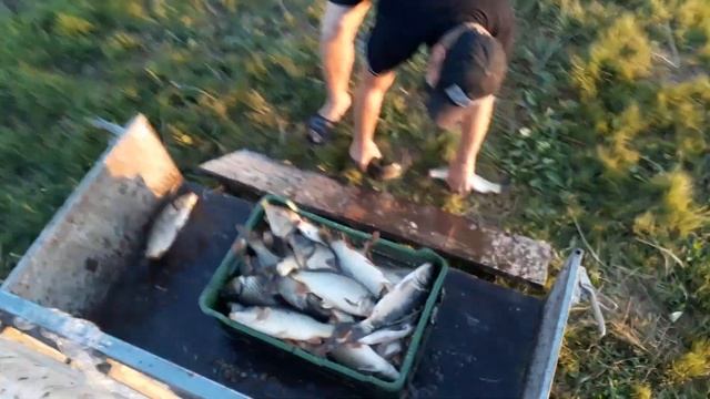 пруд Черноморец 21.06.19г Запуск карпа смотреть онлайн