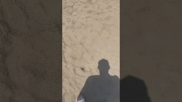 |Черепаший пляж в Дальяне|Очень теплая вода и отличный пляж| #турция смотреть онлайн