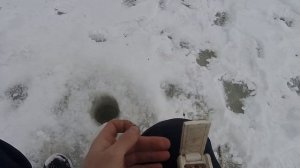 Рыбалка. Март 2022. Приток Оби. Окунь и чебак