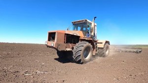 Культивируем почву и сеем кукурузу! И еще я УВОЛИЛСЯ!