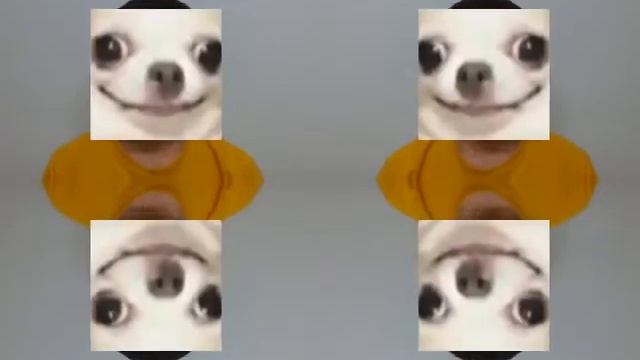 Chihuahua Meme Filter by Ching Yang смотреть онлайн