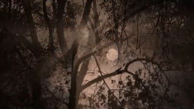 Barbara Bonney Geoffrey Parsons "Abendempfindung an Laura" W. A. Mozart смотреть онлайн