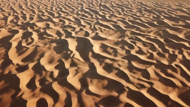 "Только сегодня". 6 августа. День за днем в Ал-анон. Ежедневник для созависимых. смотреть онлайн