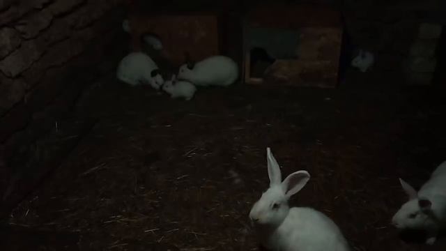 ЗАМЕРЗАЕМ.В ДОМЕ УЛИЧНАЯ ТЕМПЕРАТУРА/ХОЗЯЙСТВО УВЕЛИЧИЛОСЬ ВДВОЕ. смотреть онлайн