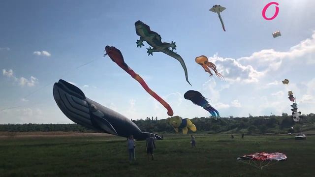 Змеи гиганты на фестивале в селе Трихаты смотреть онлайн