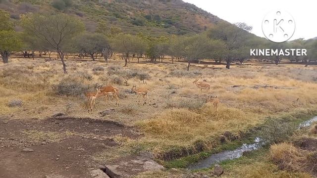 Caselo park. Mauritius. Really good place for kids. смотреть онлайн
