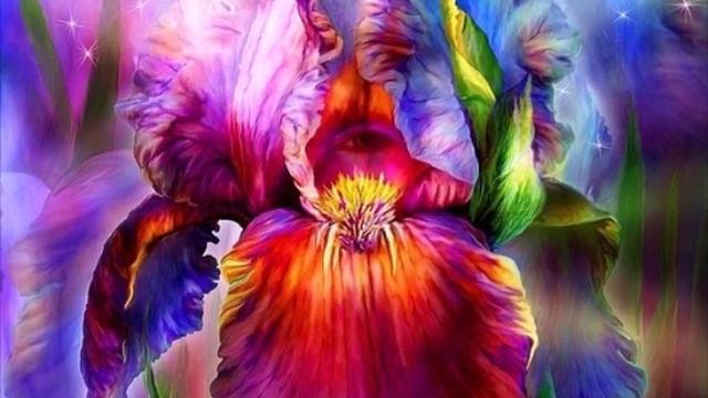 Взаимодействие человека и Учителей смотреть онлайн