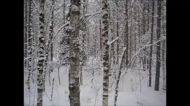 Охота с биглем. Веня и подранок. 18 + Не для слабонервных и цветных (в смысле зелёных...))) смотреть онлайн