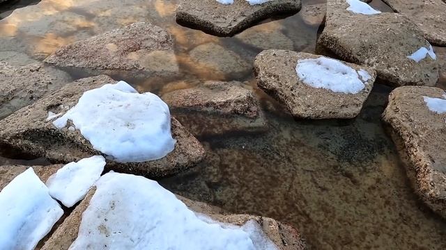 Казахстан / Лебеди в Актау / Семейный архив / Актау 1993 - 2022 смотреть онлайн