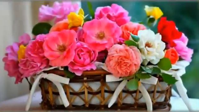 Красивое музыкальное поздравление невестке с Юбилеем❤❤❤???? смотреть онлайн