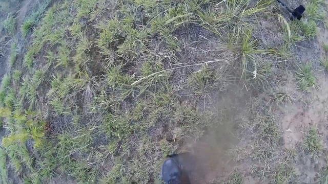 Летний коп смотреть онлайн