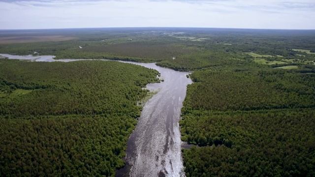 река Модлона, Кирилловский район смотреть онлайн