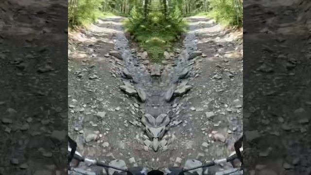 Эндуро маршрут Горно-Алтайск-Каракольские озёра-Чемал- Онгудай