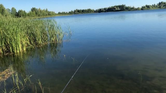 Рыбалка на чистом озере смотреть онлайн