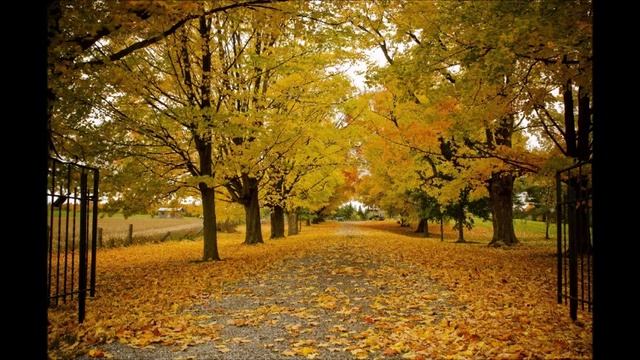 Красный рис польза смотреть онлайн