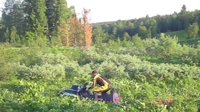 дураки летом на снегоходе смотреть онлайн