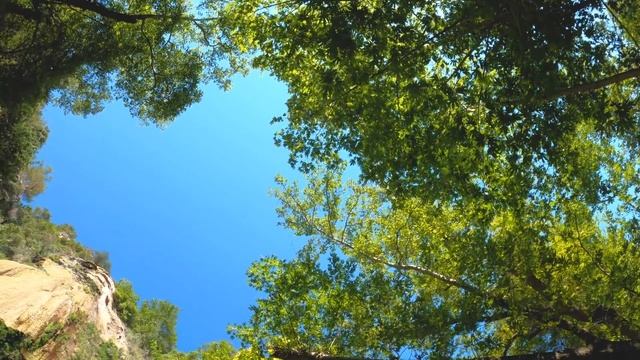 Энергия преображения смотреть онлайн