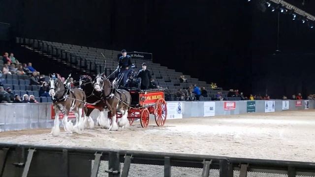 World Clydesdale show in P&G LIVE. Мировое Clydesdale шоу лошадей смотреть онлайн