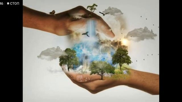 Что такое экология. смотреть онлайн