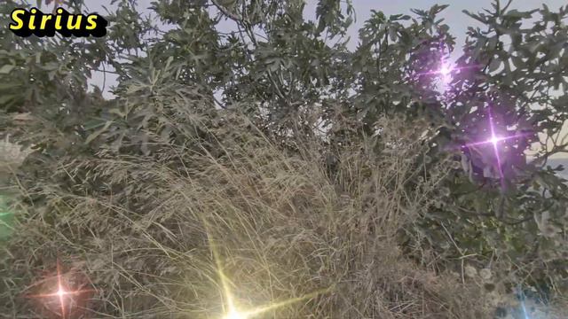 Каким знакам зодиака вторая декада сентября 2022 года откроет новые карьерные возможности смотреть онлайн