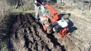 Впервые УЧУСЬ ПАХАТЬ!  // Мотоблок мтз Беларус 09Н