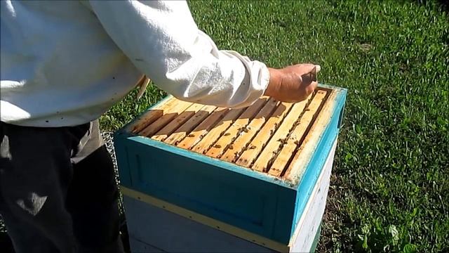 Деревянная разделительная решётка смотреть онлайн