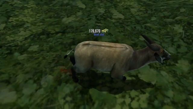Deer Hunter Classic Trophy Hunt Standards 26 - 28 (NormalAnimals Part 1) смотреть онлайн