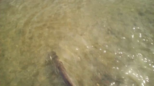 Ловля щуки река ОБЬ смотреть онлайн
