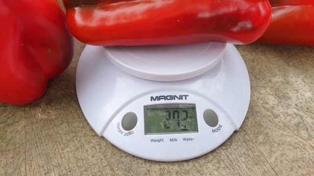 Лучший сладкий перец - Ливадия F. Семена Партнёр. смотреть онлайн