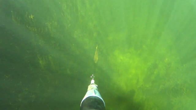 spearfishing , Подводная охота смотреть онлайн