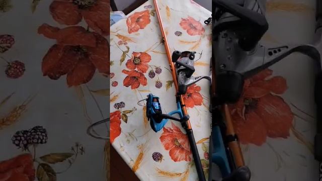 Рыбалка на пруду в камышах.