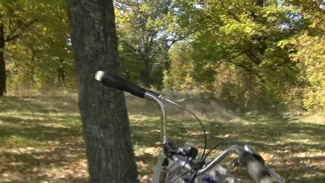 22.9.14 Прогулка: Саров-Мокша-Саров