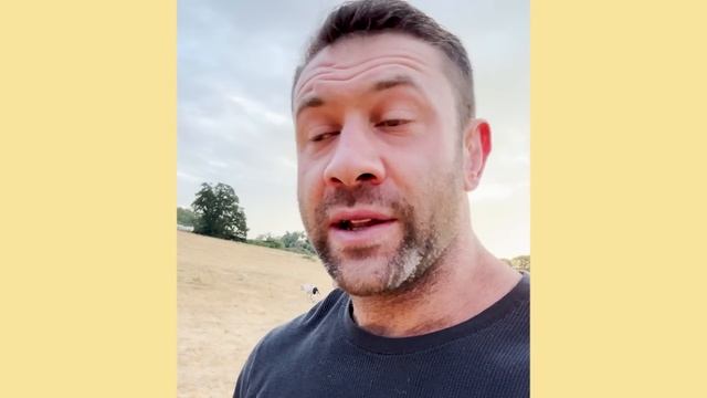 More positive updates on the sanctuary situation | The Asher House смотреть онлайн