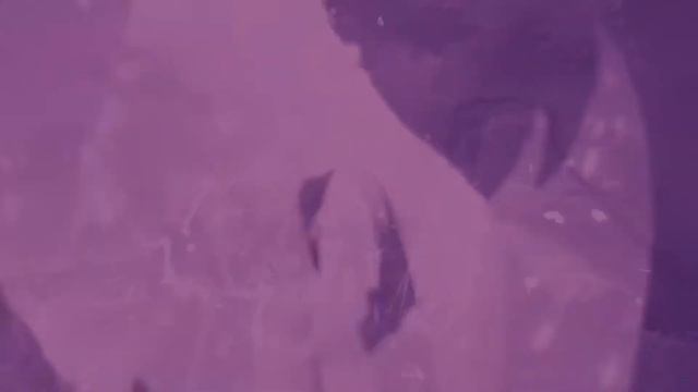Яэ Мико Геншин Импакт  Yae Miko Genshin Impact