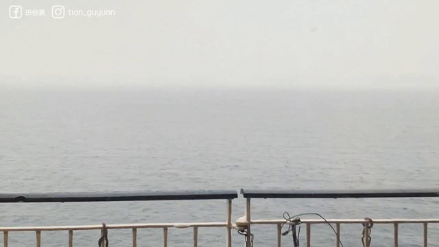 【爱沙尼亚】塔林Vlog！喂！你都没听过这地儿吧！豪华邮轮体验！夜晚逛中世纪的圣诞集市｜波罗的海｜北欧｜成长｜芬兰｜独行｜旅行｜男生日常｜生活记录｜Daily vlog смотреть онлайн
